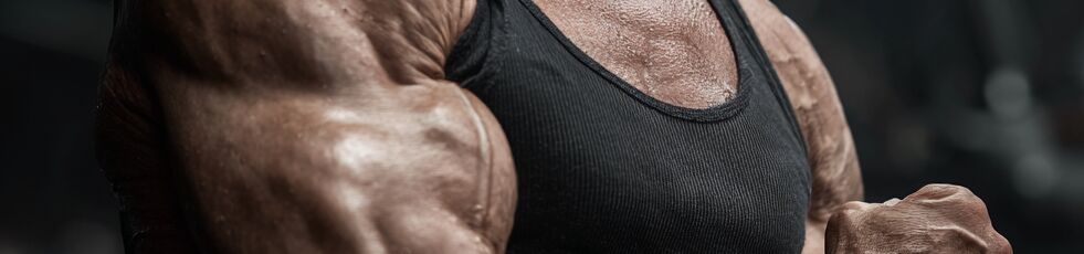 Arnold Schwarzenegger body