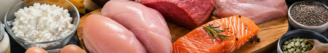 high protein nutrition